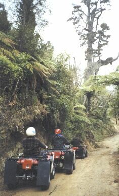 ATVs in the bush.